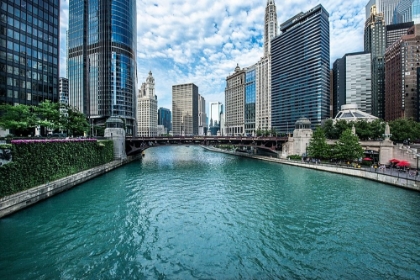 Picture of CHICAGO RIVER VIEW