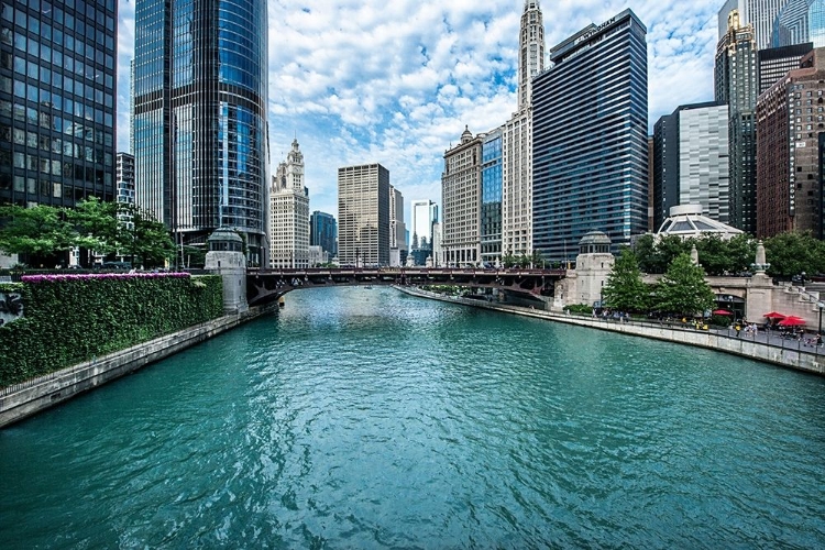 Picture of CHICAGO RIVER VIEW