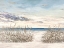 Picture of WINDY BEACHES