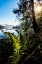 Picture of LAKE SIDE VIEW