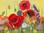 Picture of VICTORY RED POPPIES I