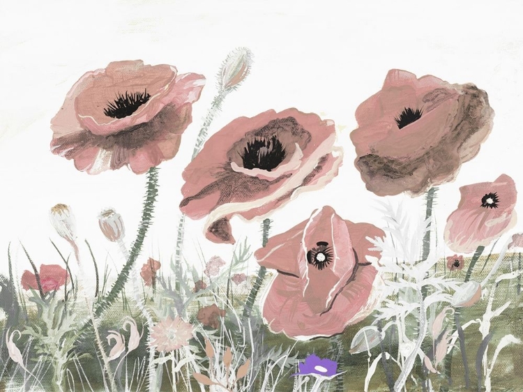 Picture of VICTORY PINK POPPIES II