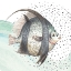 Picture of COASTAL FISH II