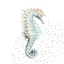 Picture of TURQUOISE SEAHORSE
