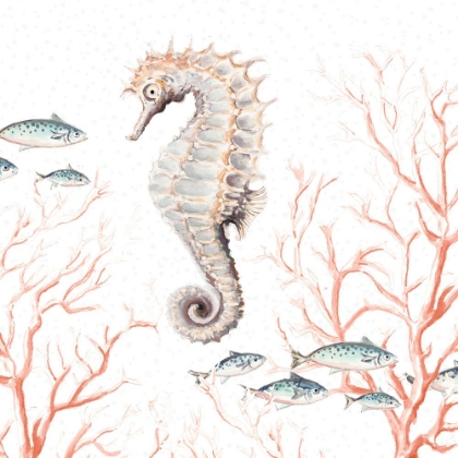 Picture of SEAHORSE ON CORAL