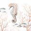Picture of SEAHORSE ON CORAL
