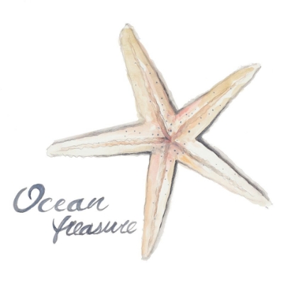 Picture of OCEAN TREASURE STARFISH