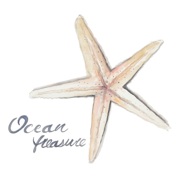 Picture of OCEAN TREASURE STARFISH