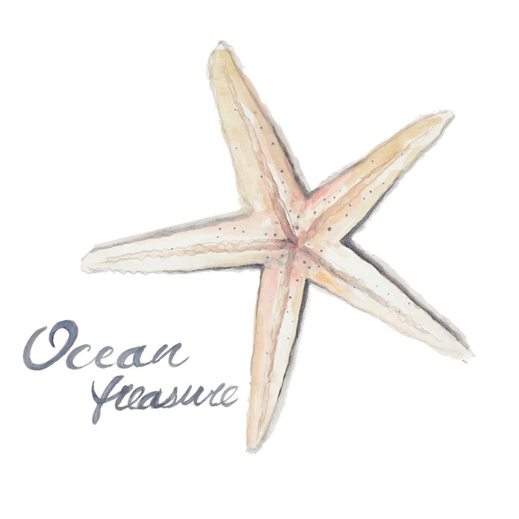 Picture of OCEAN TREASURE STARFISH