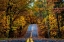Picture of WOODLAND ROAD I