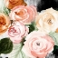 Picture of MIDNIGHT PEONIES