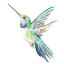 Picture of NEW HUMMINGBIRD