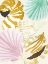 Picture of SEASHELL COLLAGE