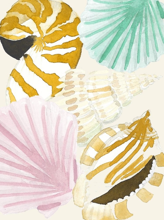 Picture of SEASHELL COLLAGE