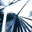 Picture of AMONG BLUE PALMS II