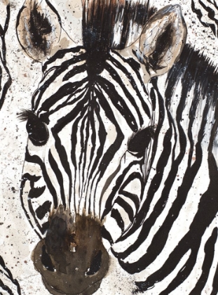 Picture of ZEBRA FACE