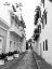Picture of VIEJO SAN JUAN II