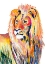 Picture of COLORFUL LION ON WHITE