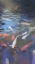 Picture of KOI POOL I