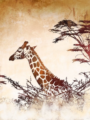 Picture of SAFARI GIRAFFE I