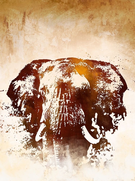 Picture of SAFARI ELEPHANT