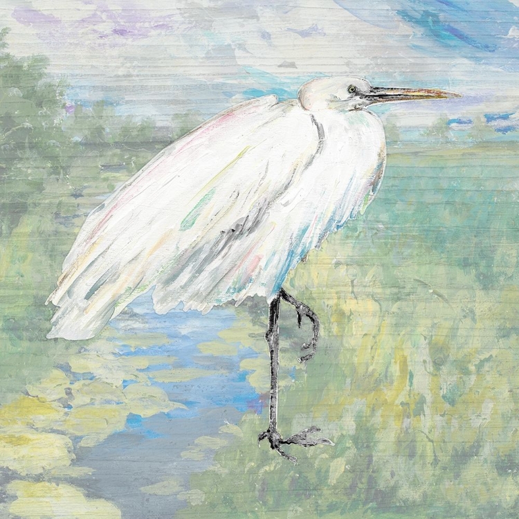 Picture of WILD EGRET