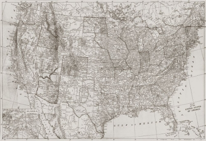 Picture of NATURAL US MAP