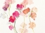 Picture of SWAYING SWEET PEAS