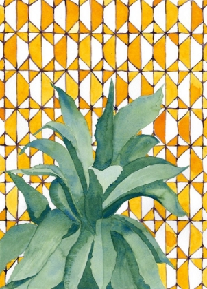 Picture of YELLOW TILE AGAVE