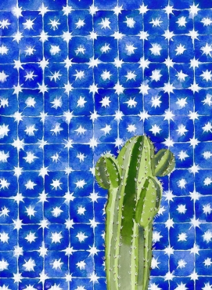 Picture of BLUE TILE AGAVE