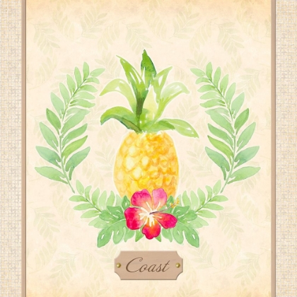Picture of COAST PINEAPPLE