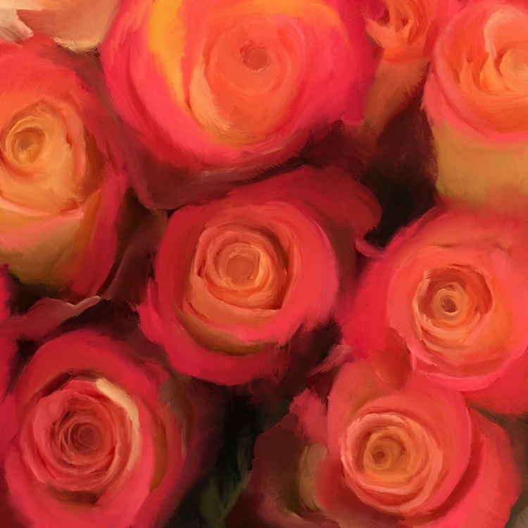 Picture of PEACH ROSES