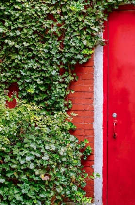 Picture of RED GARDEN DOOR