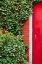 Picture of RED GARDEN DOOR