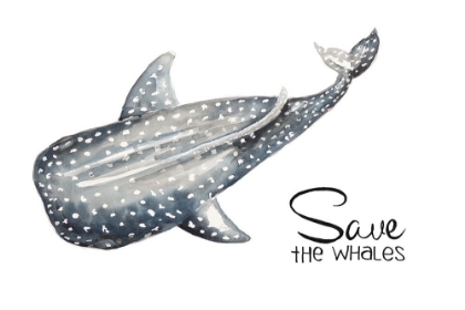 Picture of SAVE THE WHALES