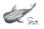 Picture of SAVE THE WHALES
