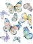 Picture of COLORFUL ISOLATED BUTTERFLIES