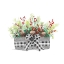 Picture of HOLIDAY FLOWERS II