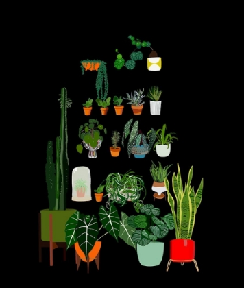 Picture of POTTED PLANT SHELF