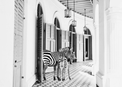 Picture of ZEBRA HOTEL