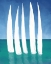 Picture of TALL SAILING BOATS