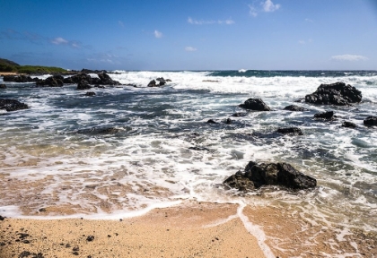 Picture of OAHU ROCKY SHORES I