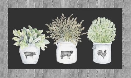 Picture of POTTED FARM ARRANGEMENT TRIO ON CHALKBOARD