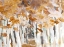 Picture of YELLOW AUTUMN RHYTHM