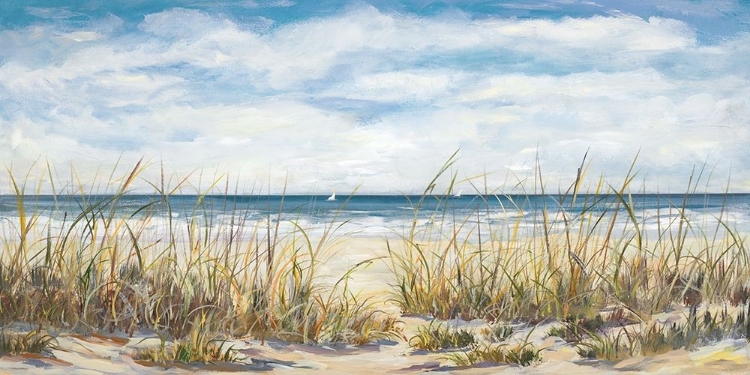 Picture of SAILING THE BEAUTIFUL COAST