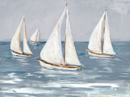 Picture of SAILING CALM WATERS I