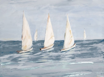 Picture of SAILING CALM WATERS  II