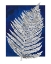 Picture of BLUE FERN IN WHITE BORDER II