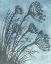 Picture of TALL GRASSES ON BLUE II