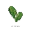 Picture of OH KALE YEAH